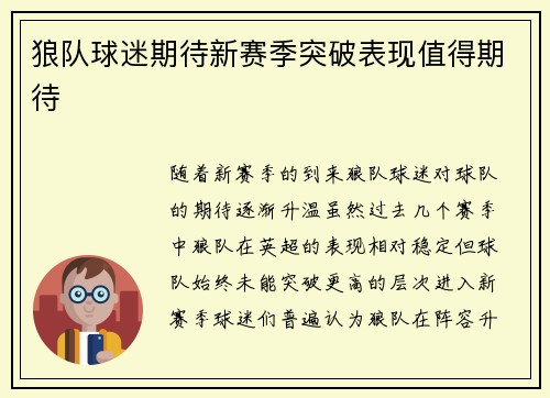 狼队球迷期待新赛季突破表现值得期待